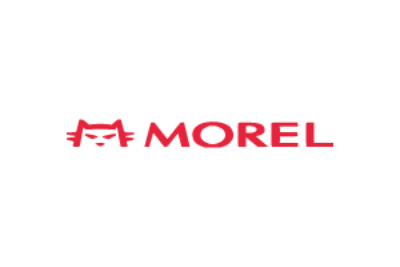 Morel